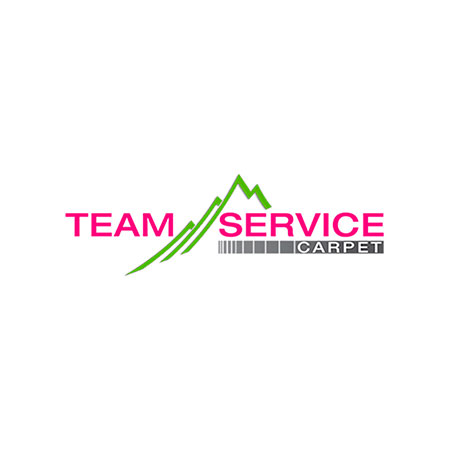 Logo-Team-Service-Nuestras-Marcas-Casli